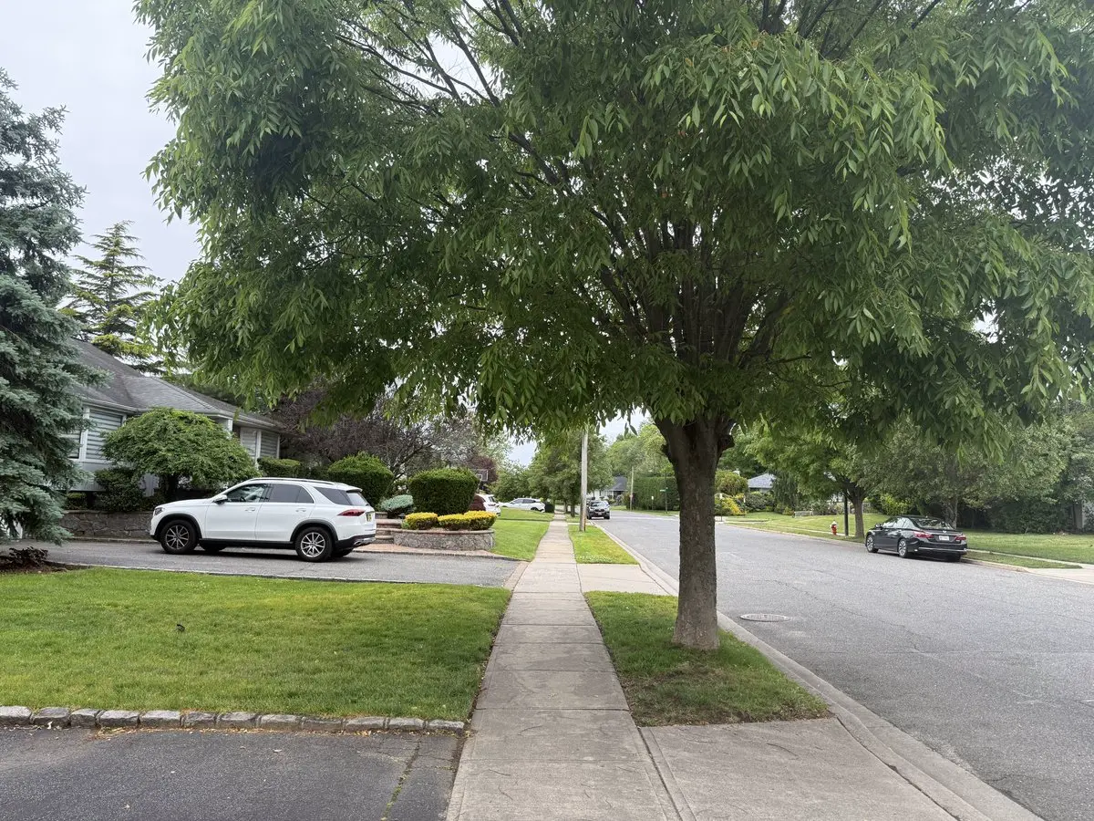 post-image
