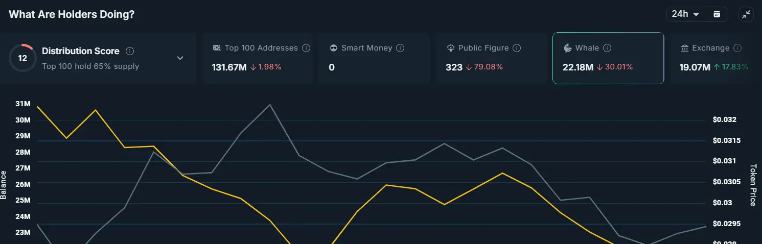 Monad Whale Activity.