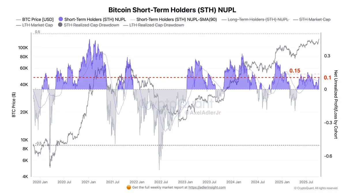 Bitcoin Short-Term Holders NUPL | Source : Axel Adler