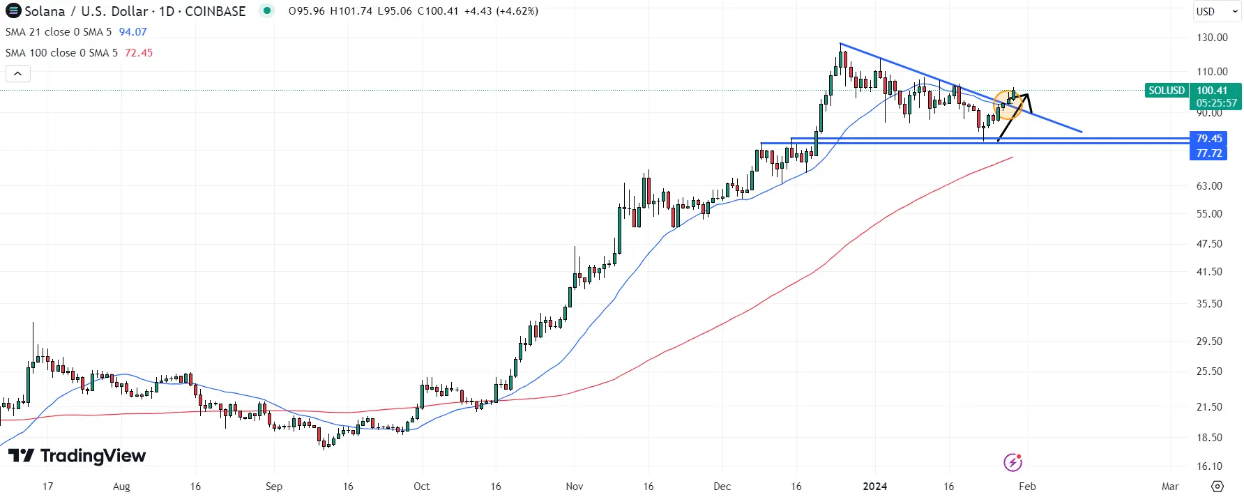 Solana (SOL) Price Chart / Source: TradingView