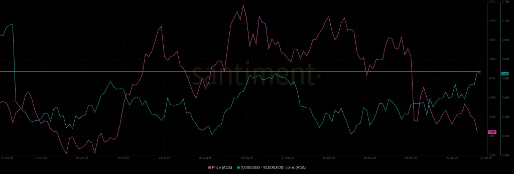 カルダノ価格予測2025年11月:クジラの蓄積は1ドルへのリバウンドを示唆