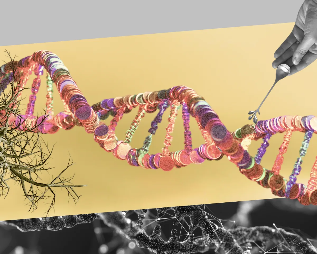 img-89f16337832883e4-7410442028565774