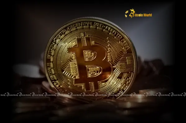 بيتكوين Treasury Capital تكشف عن شراء جريء بقيمة 7 مليون دولار من BTC لاستراتيجية طويلة الأجل