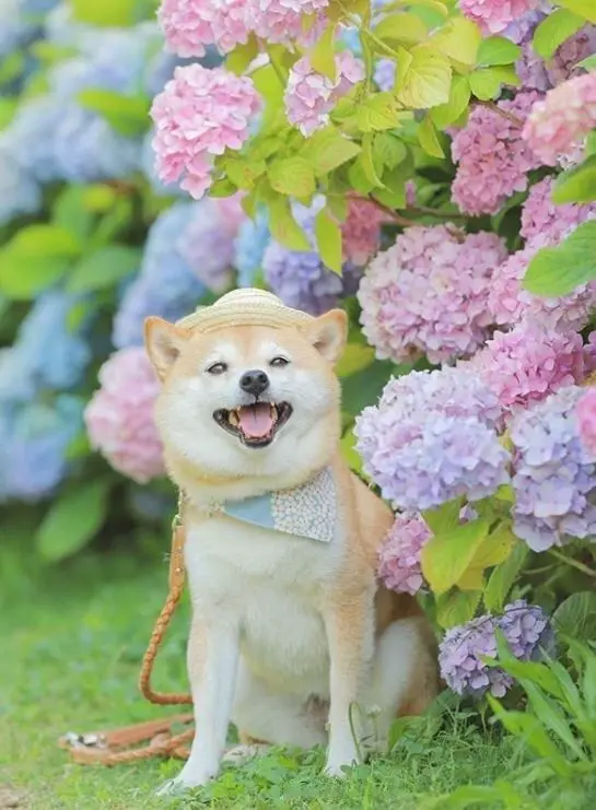 repost-content-media