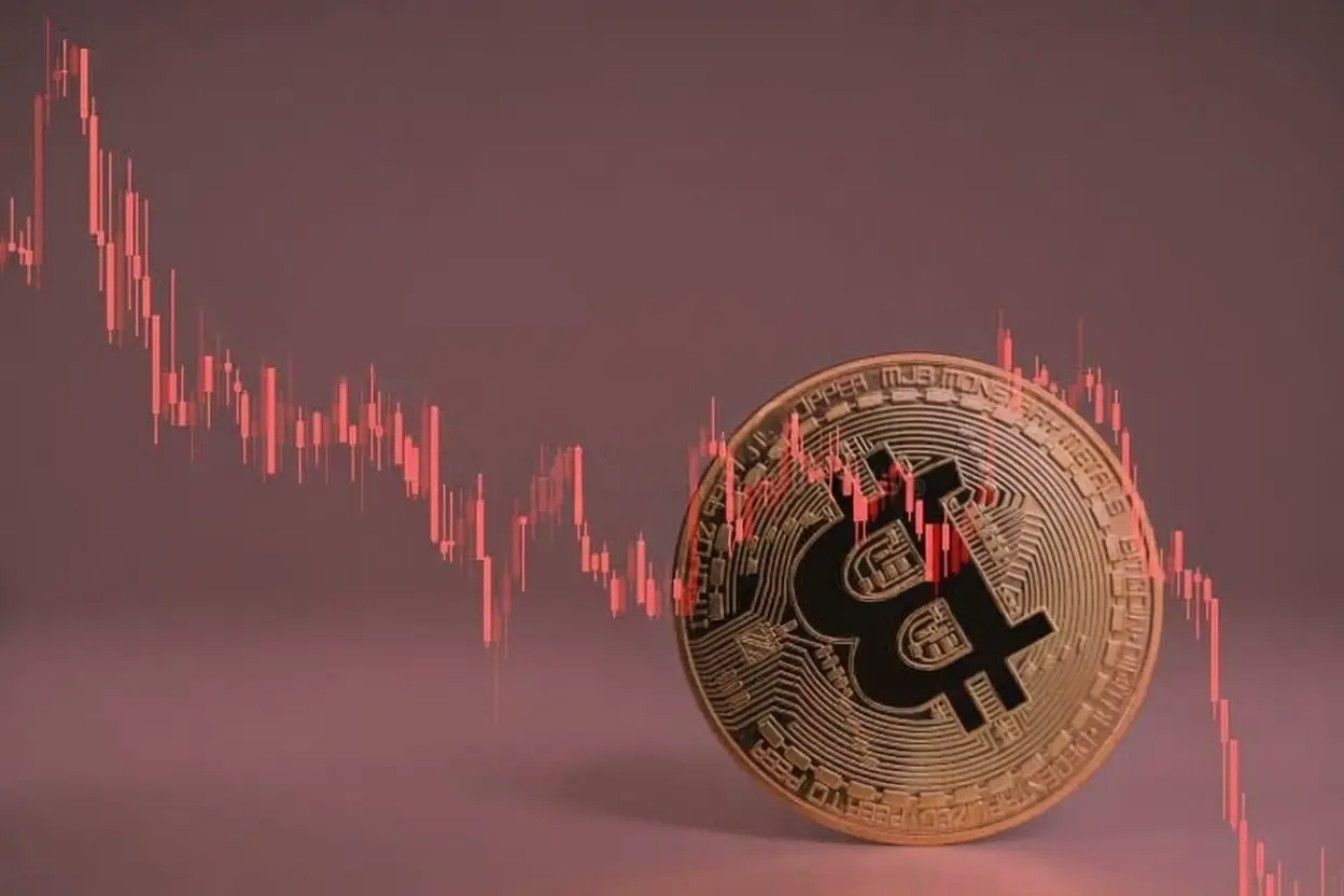 repost-content-media