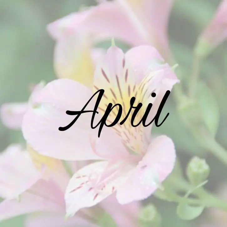 repost-content-media