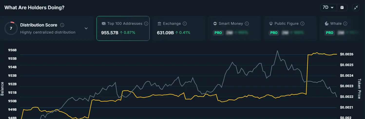 PUMP Top 100 Holders