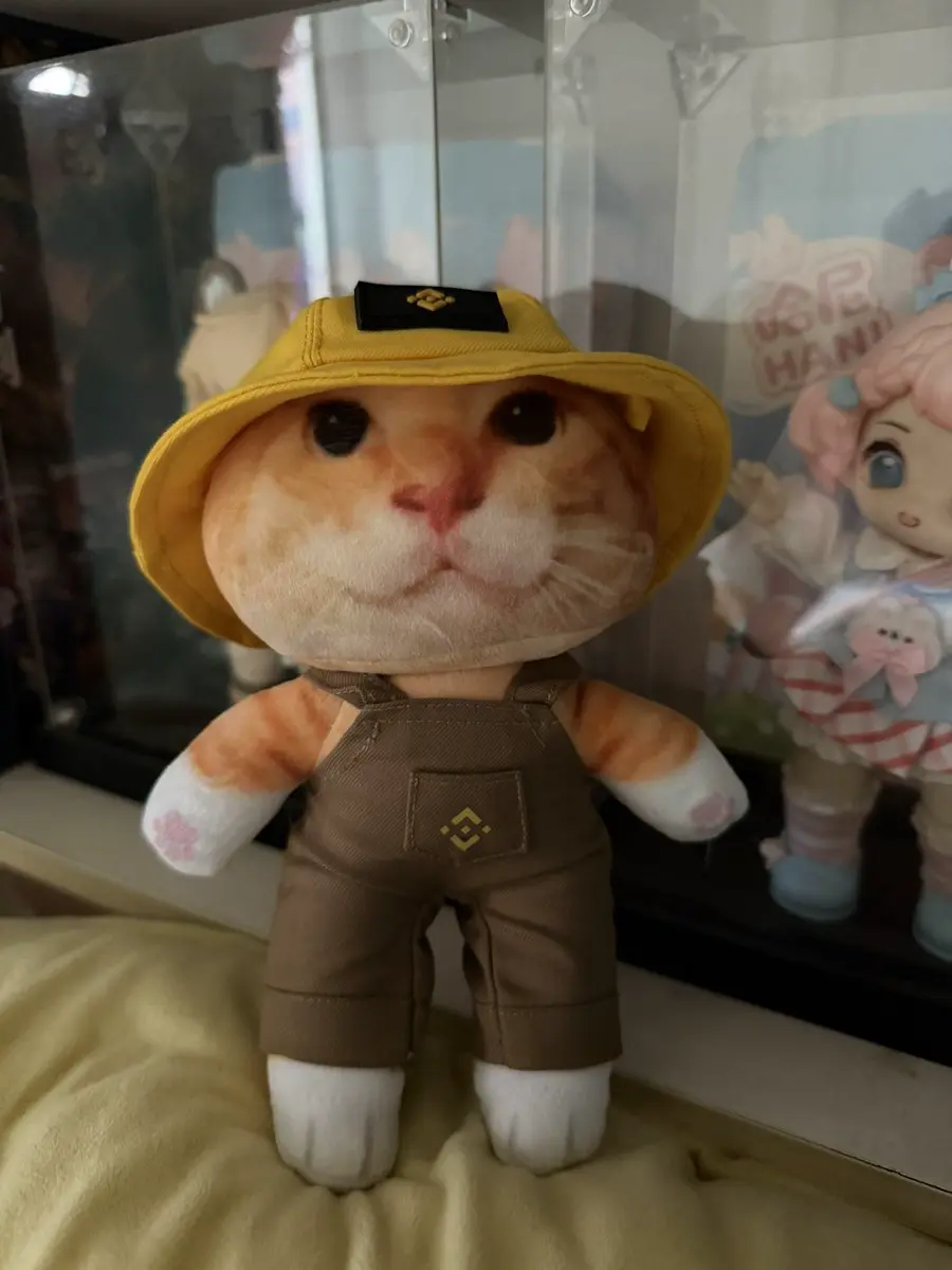 repost-content-media