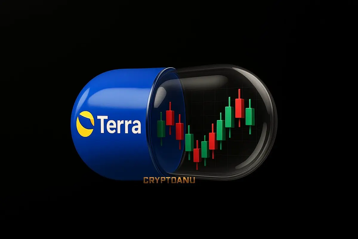 repost-content-media