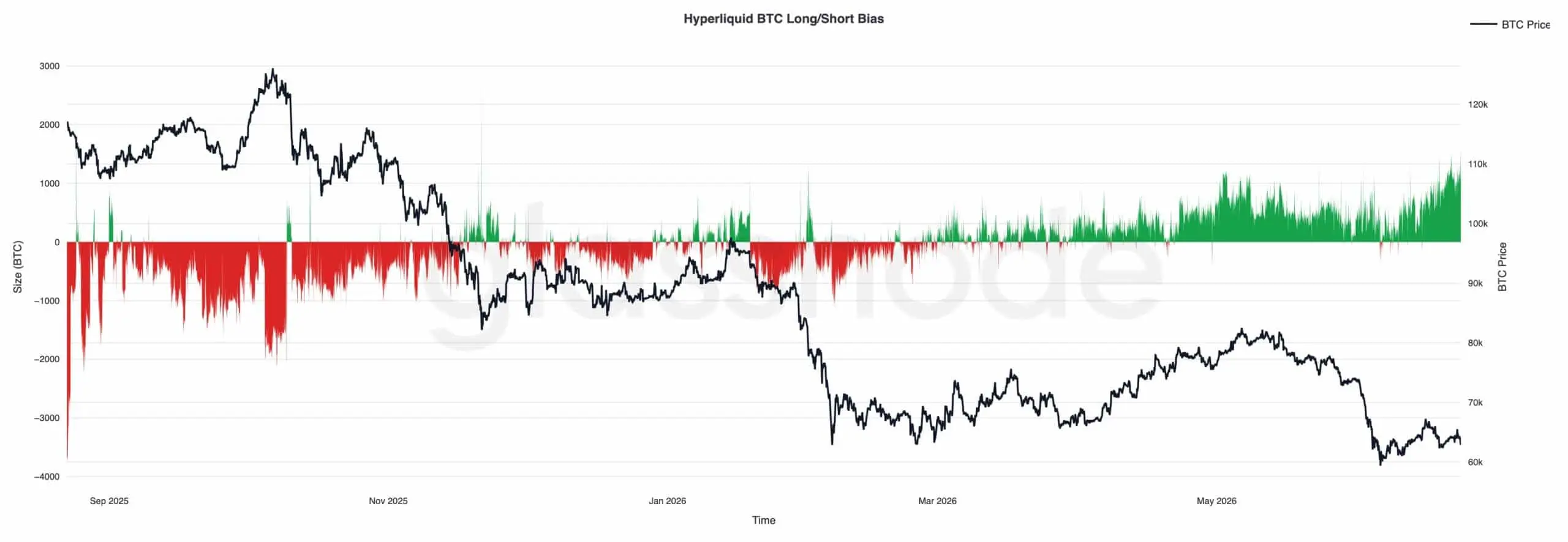 Bitcoin Long Short Bias