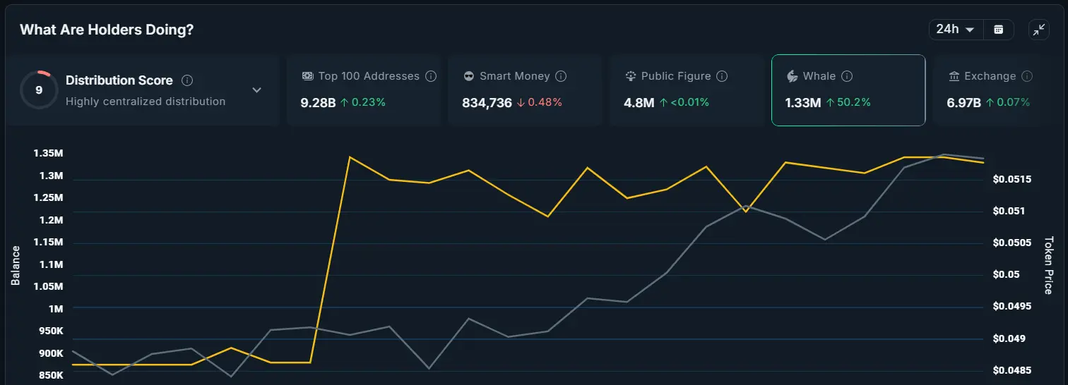 ZORA Whale Holdings.