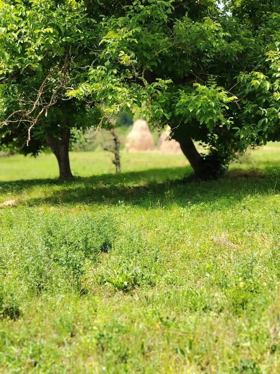 post-image