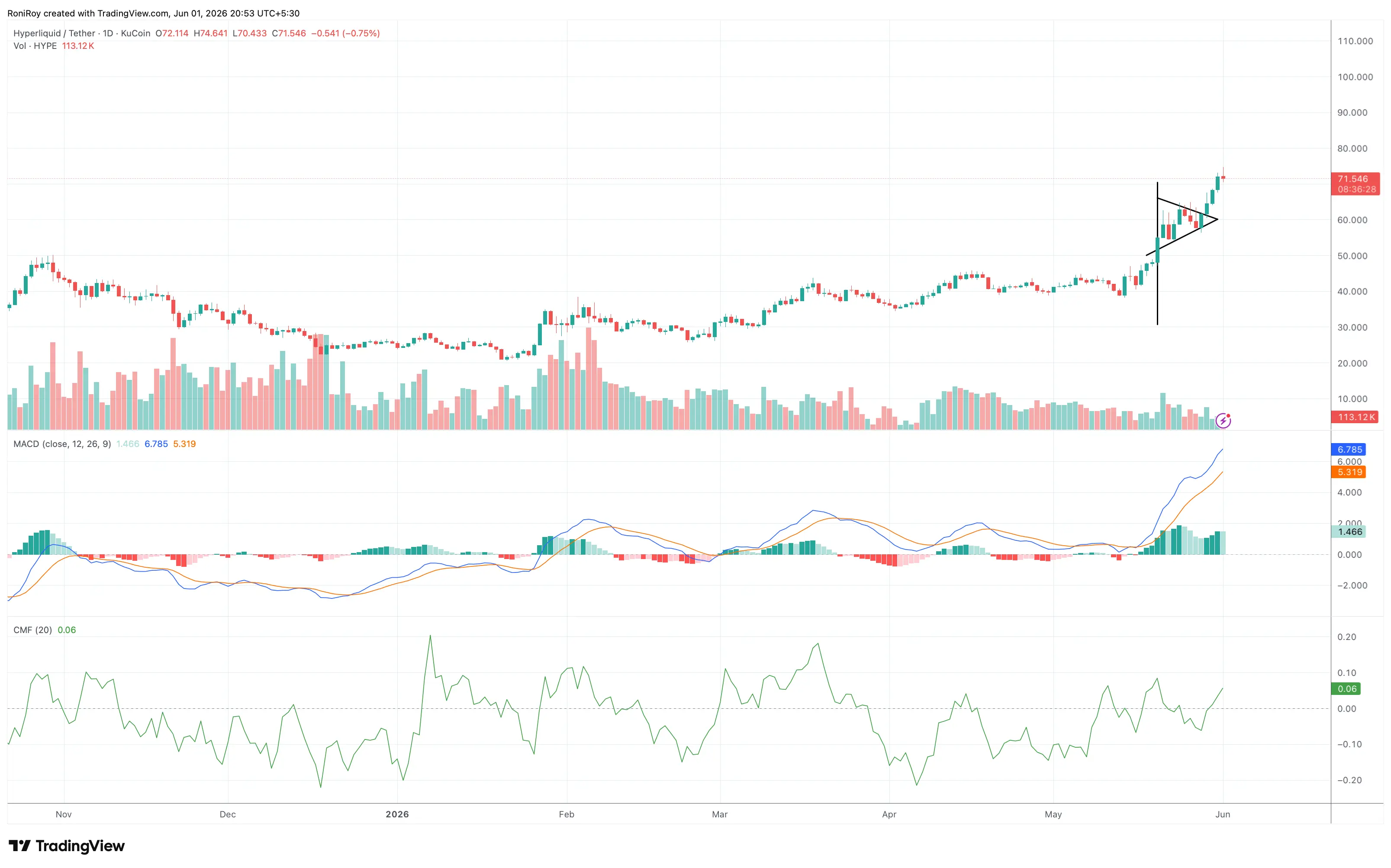 HYPE/USDT - 1-day price chart.