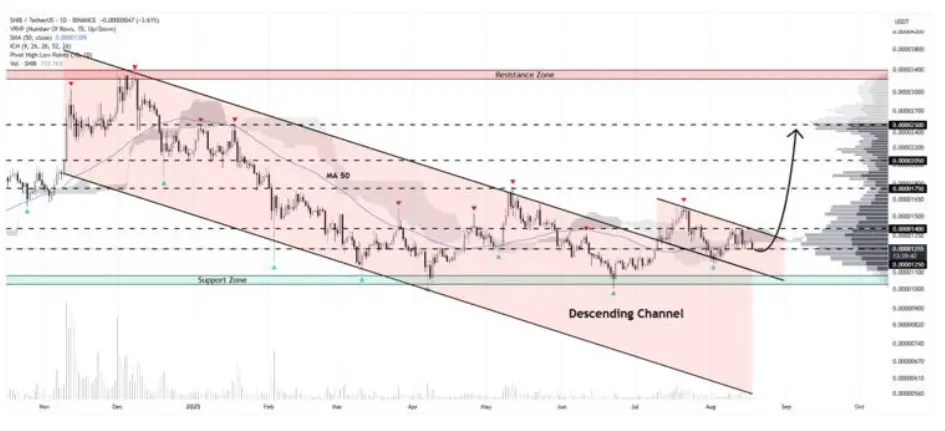 Bisakah Shiba Inu atau DOGE Coin Mencapai 5X? Pendatang Baru Ini Mungkin Menawarkan Peluang 10x yang Lebih Realistis Tahun Ini