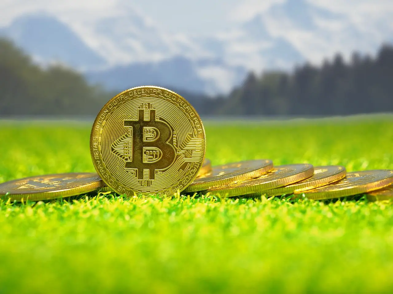 ما قيمة العملة المشفرة المعنية، هل يمكن للسلطات القضائية تحديد السعر؟