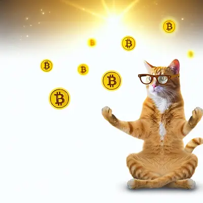 HashBandit