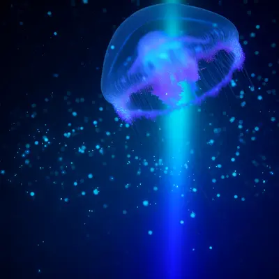 The crypto market at the beginning of spring 2026 shows an interesting picture: while major players like Bitcoin and XRP are fighting macroeconomic pressure and regulatory changes, young projects are attracting more and more attention. This is not just another hype wave — capital is moving to where there are real products and transparency.
With Bitcoin around $77,000 and XRP trading at $1.38 with a market cap of $85 billion, discussions about whether these assets can reach their former heights are becoming more realistic. The math is simple: for XRP to reach $100, it needs a market cap of $6 trillion — more than the combined value of Apple and Microsoft. Most serious analysts forecast XRP to reach between $5 and $20 by 2030, considering its role in international payments.
While traditional tokens are stuck in valuation hurdles, the Pepeto project has proposed a different logic. Unlike typical meme coins that live only on social sentiment, this project comes with working tools: PepetoSwap for low-fee trading, Pepeto Bridge for cross-chain transfers, and Exchange for verified assets. Demonstrations of these services are already available, which is rare for a presale.
Security here is serious — two independent audits from SolidProof and Coinsult. The current entry price is $0.000000185 with six zeros. The project has implemented a staking mechanism — not just a word, but a specific protocol with an APY of 212% — participants lock tokens until listing, which is expected to be a key liquidity event. If Pepeto reaches a market cap of $50 million, it will be a significant multiplier compared to the initial valuation.
The macro context complicates the picture: global tariffs have increased by 15%, Bitcoin has fallen below $63,000, and mass liquidations have begun. The fear index has reached a record low of 5. But it is precisely during such periods that capital becomes selective — investors look for projects with audits, working products, and confirmed pathways to major exchanges. Pepeto presale has already exceeded $7.3 million.
For those considering long-term positions, the logic is clear: XRP remains a powerful tool, but its price targets are more realistic than before. Young projects with real functionality offer a different risk-reward profile. Staking is a mechanism that makes holding assets economically attractive in the early stages. The choice between established assets and innovative projects depends on risk tolerance and time horizon.