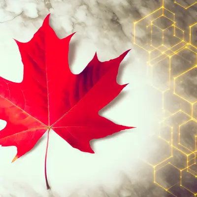 Markets are experiencing a night of maximum turbulence. OPEC, the Federal Reserve, EIA, and the US Treasury are all acting simultaneously, creating a chaotic environment where maintaining stability has become a luxury. Volatility indices reach critical levels, and for those involved in the game of trading, it’s a perilous situation.