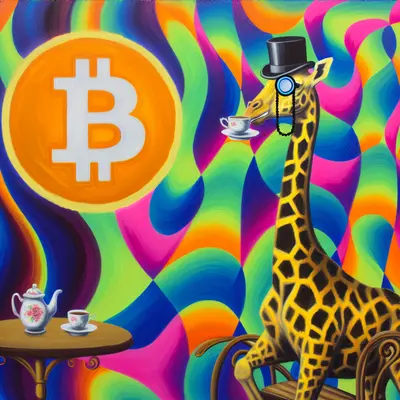 花里胡哨研究院