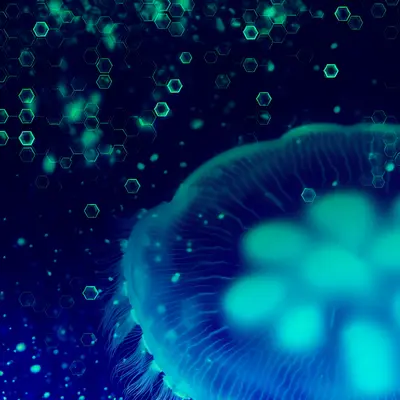 ## Bee App: Everything You Need to Know About Social Mining on Your Smartphone
### **What sets this platform apart from others?**
In the world of digital mining, Bee Network stands out as a completely different option. Unlike traditional mining that requires huge equipment and consumes massive amounts of energy, the Bee App offers a social mining model that relies solely on your smartphone. No specialized devices or upfront financial investments are needed. The concept is simple: make mining accessible to everyone.
### **Your First Steps: How to Get Started Now?**
Getting started is easy and straightforward. Download the Bee App from the Google Play Store (or via alternative links for iOS users), then create your account using a username, email, and a secure password. After that, tap the start mining button directly. You can also enter the referral code imeky to receive an additional reward. The app will begin mining automatically when running, even if the phone is closed.
### **Profit Engine: How Is Your Mining Rate Calculated?**
Your earning rate of BEE Coin is not fixed but fluctuates based on several factors. First, the number of people you invite to join via your referral link plays a key role in increasing your mining rate. Second, your daily participation in tasks and activities within the app boosts your productivity. Third, your level of engagement with the community helps continuously raise your mining rate.
The number of coins you earn daily varies from person to person. The critical factor is to continue daily check-ins ("Check In"). If you neglect this step for extended periods, your rate may decrease or mining may stop.
### **Current Status: Can You Use Your Coins Now?**
Here's where caution comes in. Currently, BEE Coin is only in the testnet phase (Testnet Phase). This means you cannot trade or use these coins in any real transactions. You cannot sell them, nor withdraw to external wallets. Hope is pinned on the final launch phase (Mainnet Phase), when the actual value of the coin will be determined and it will become tradable and usable.
### **How It Differs from the Major Competitor: Bee vs Pi**
If you're wondering about the difference between the Bee App and similar platforms like Pi Network, here’s the real comparison:
- **Availability**: Bee is primarily available on Android, while Pi Network operates on both Android and iOS
- **Technology**: Both rely on Blockchain, but Pi is built on Stellar Blockchain
- **Popularity**: Pi Network is more globally known and widespread, whereas Bee is less known but gaining momentum
### **Trust and Risks: Is This a Legitimate Project?**
That’s a very valid question. Like any emerging project, there’s some uncertainty. It’s strongly advised to:
- Read the full terms and conditions
- Look for genuine user reviews
- Verify the backgrounds of the founding team and developers
- Understand that long-term investments carry risks
Do not rely on Bee Network as a primary income source. Consider it a trial investment that might have potential future returns.
### **Social Factor: Network Power Means More Profits**
The referral mechanism is at the heart of the social model. After registering, you’ll receive a unique referral link to share with friends and family. The more people join through you, the more your mining rate increases noticeably.
### **The Essential Step: Understanding the KYC Process (KYC)**
Most modern digital platforms require a Know Your Customer (KYC) process. This security step ensures each person has only one account and prevents fraud and manipulation. After successfully completing this process, you may become eligible to transfer your coins to a real wallet upon the official launch of the project on Mainnet.
### **Other Practical Questions**
Mining continues even when the phone is closed, but it may stop if you neglect the app for long periods without opening it. The Mainnet launch date has not been announced yet; it depends on development progress and meeting the necessary requirements.
### **Summary: Is It Worth Trying the Bee App?**
Joining Bee Network now gives you the chance to gather as many BEE Coins as possible before the official launch. The project is completely free, requiring no financial investments. But always remember: this is a bet on the future, not an immediate income guarantee. Start now, but with realistic expectations and full awareness of the potential risks.