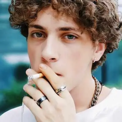 The essay discusses the classification of cryptocurrency ownership in relation to securities law, emphasizing that passive holding for profit should not be classified as a securities transaction. It highlights the importance of distinguishing passive interests from active rights to protect investors from excessive regulatory burdens.