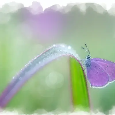 On March 20, He Xun Investment Advisor Lu Runkai pointed out that the market has finally stopped declining. Although sentiment remains cautious at present, he expects the broader market to rise next week. He emphasized that the adjustment has reached its extreme, rebound expectations are strong, and reminded investors to maintain cautious operations.