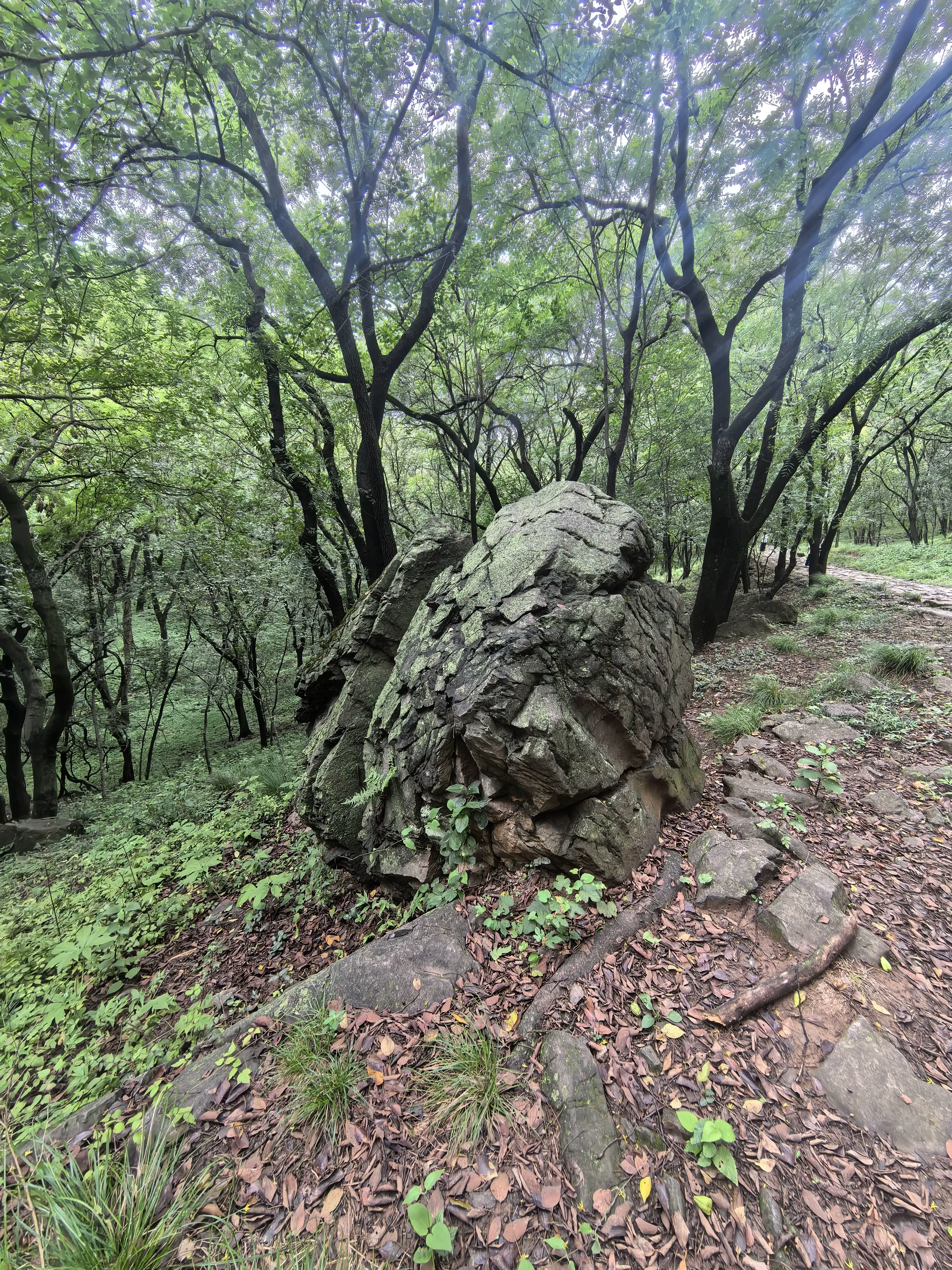 post-image