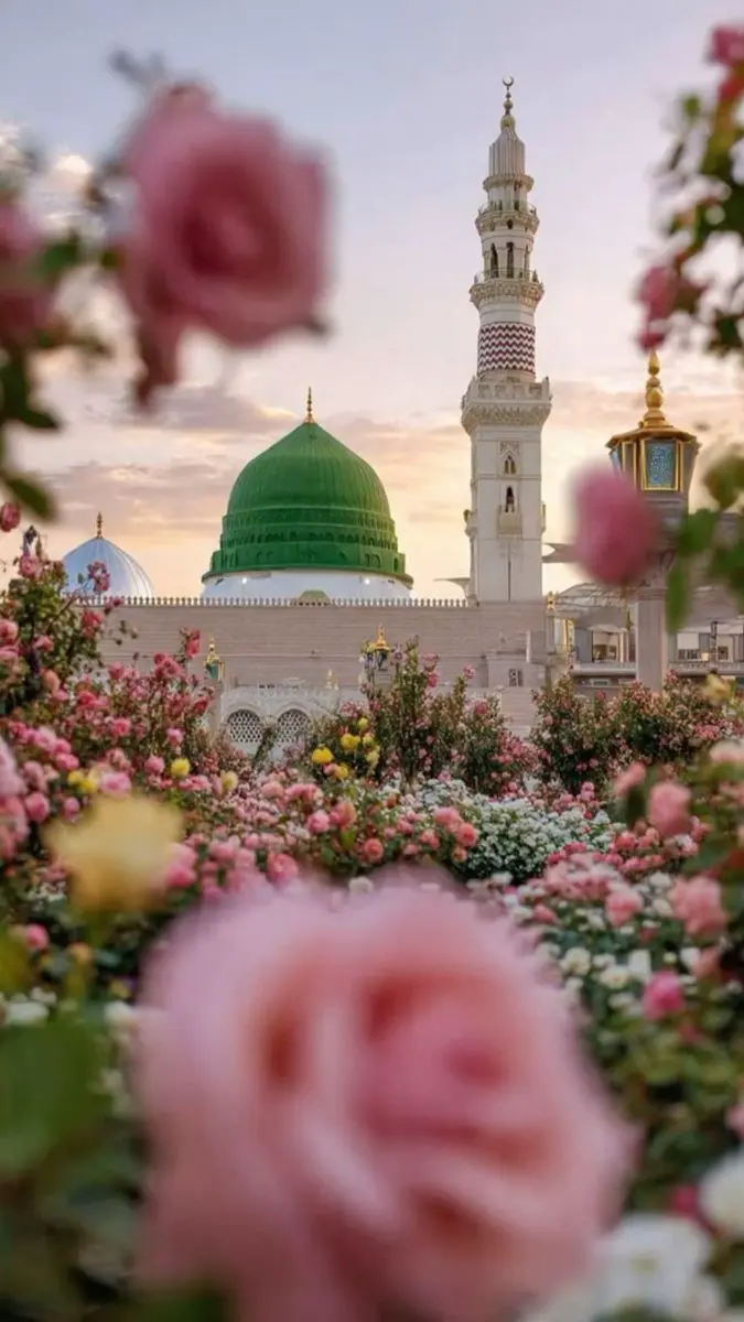 repost-content-media