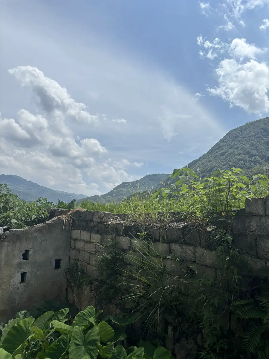 post-image
