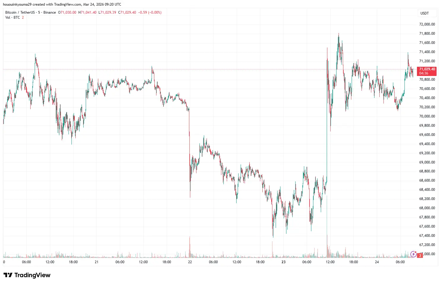 Bitcoin Price Chart