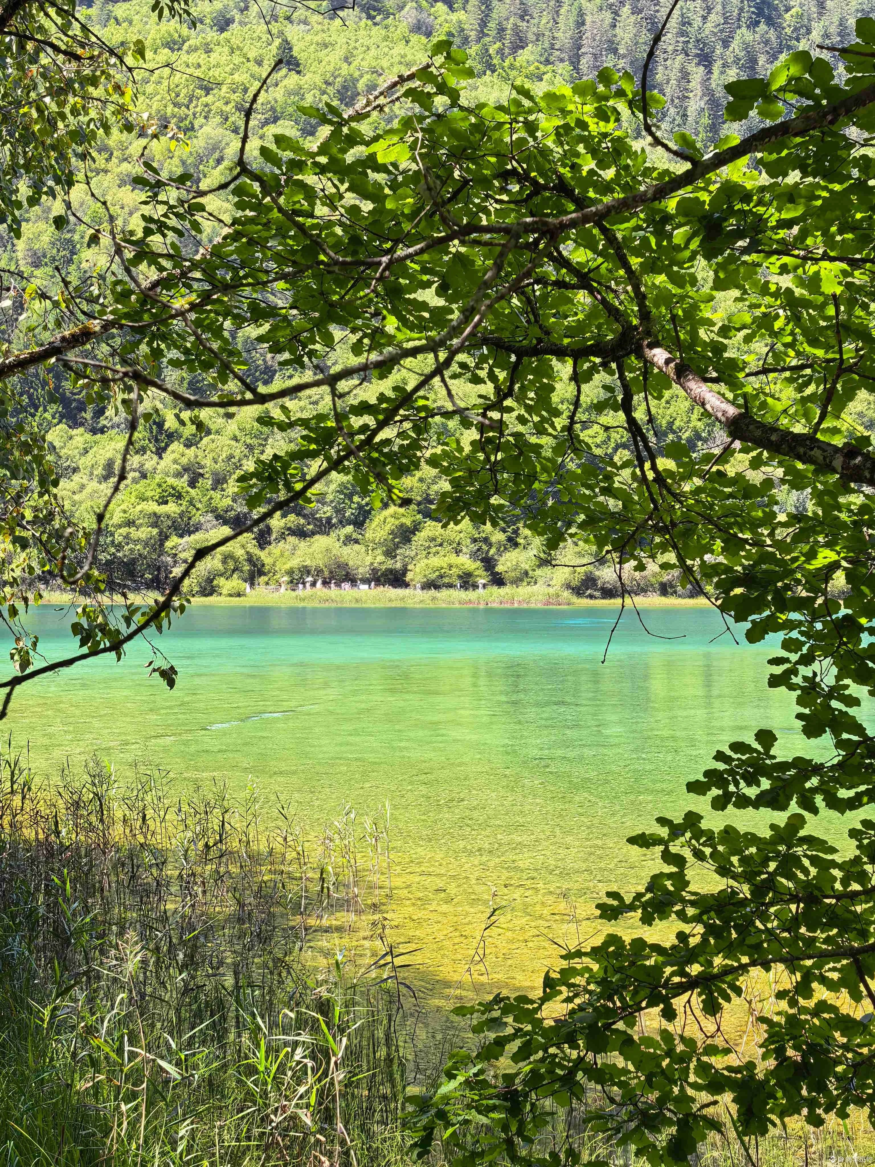 post-image