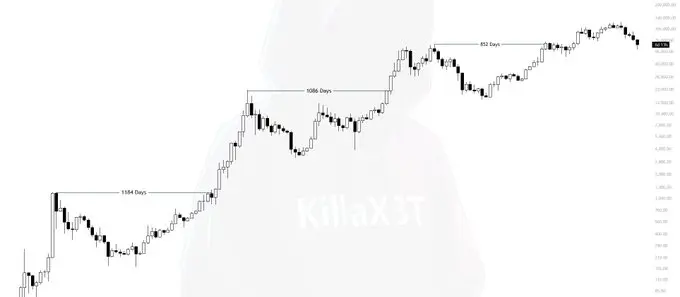 Giá Bitcoin có nguy cơ lặp lại chuỗi giảm giá 7 năm liên tiếp do lượng thanh lý ngày càng tăng