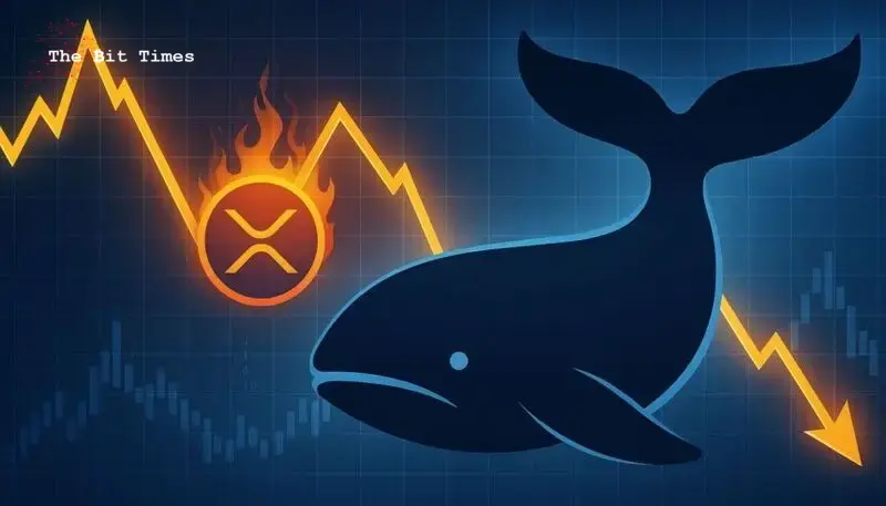Atividade de Baleias XRP Sinaliza Aviso: Padrão de Distribuição Ressurge