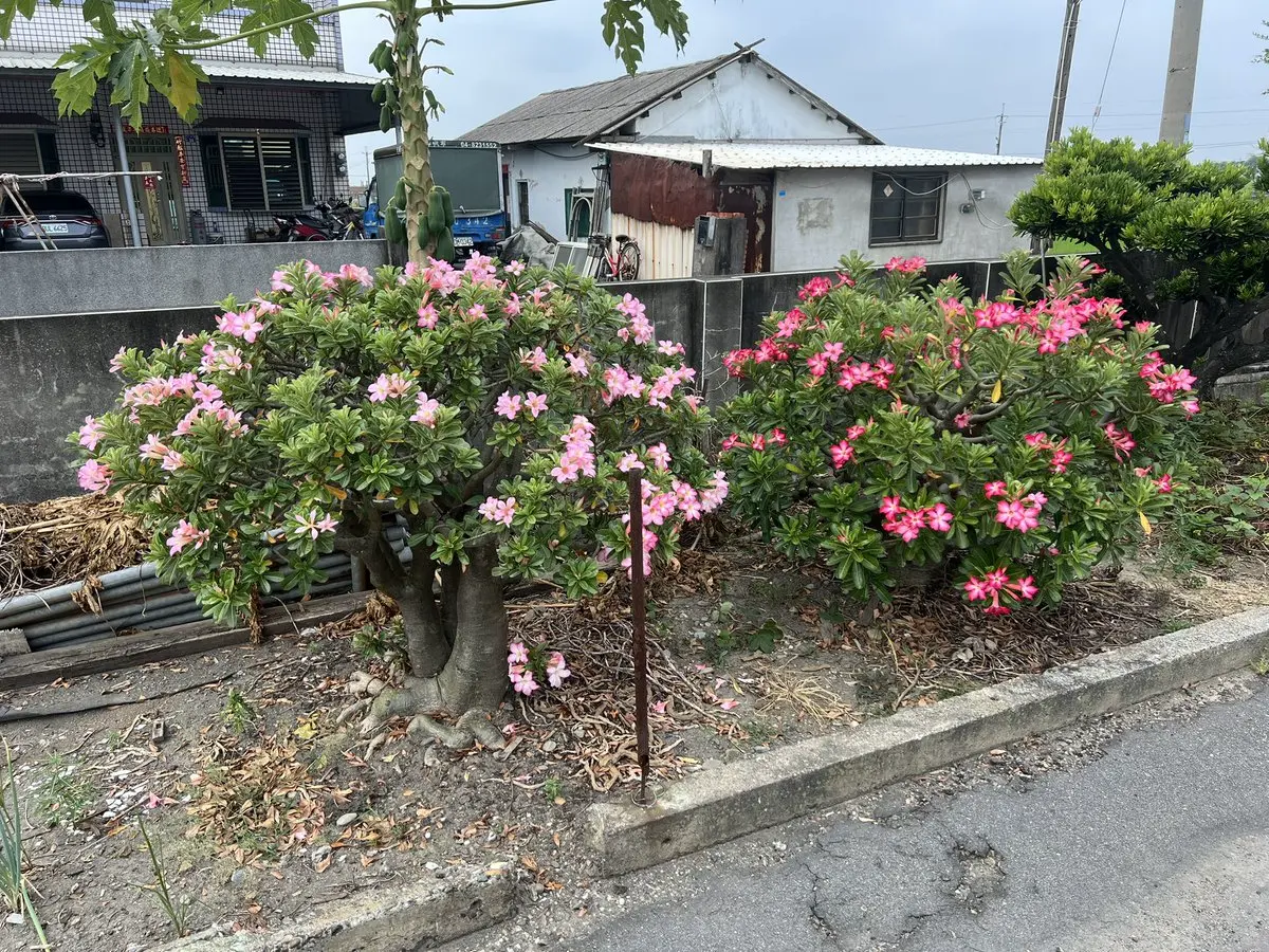 post-image
