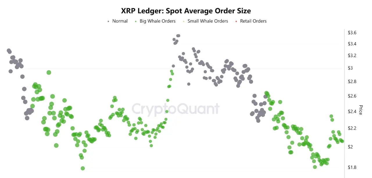 XRP Spot Average Order Size. Source: CryptoQuant