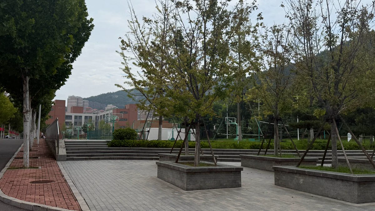 post-image