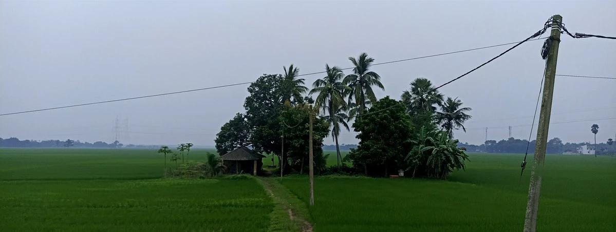 post-image