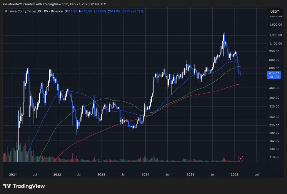 BNB consolidates in a key level | Source: BNBUSDT