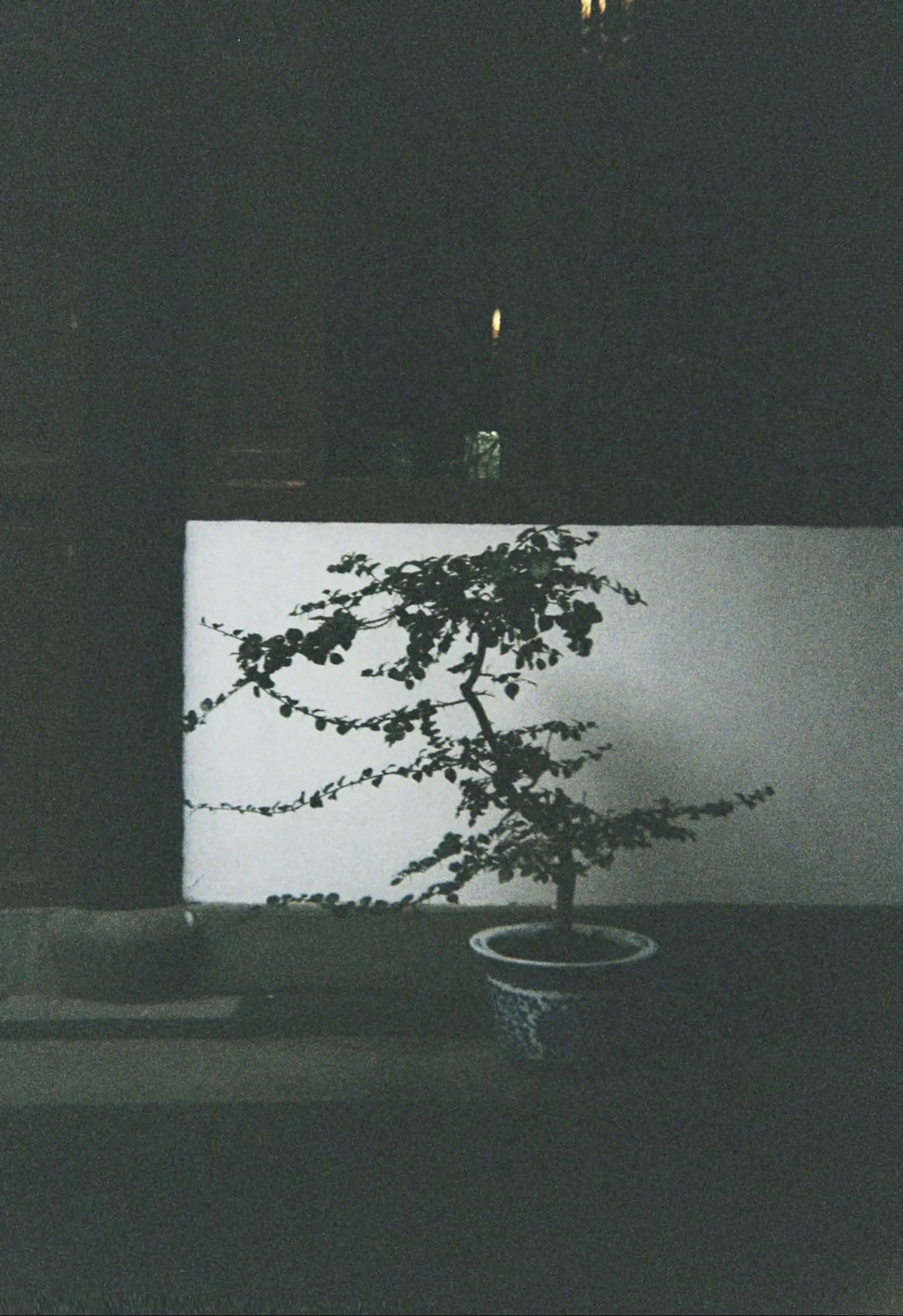 post-image