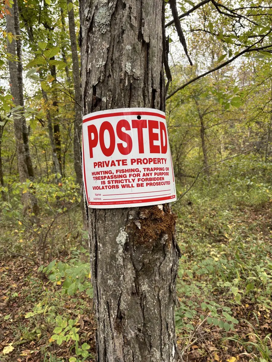 post-image