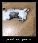 post-image