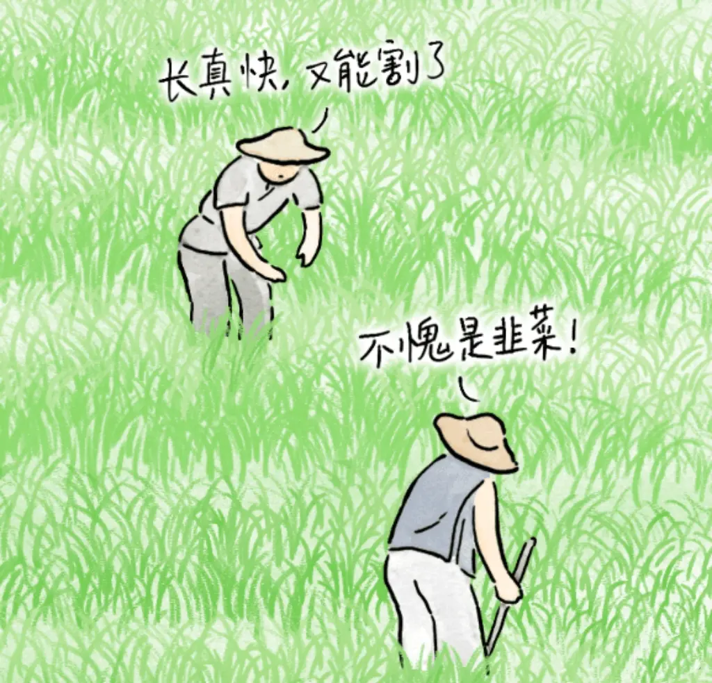 post-image