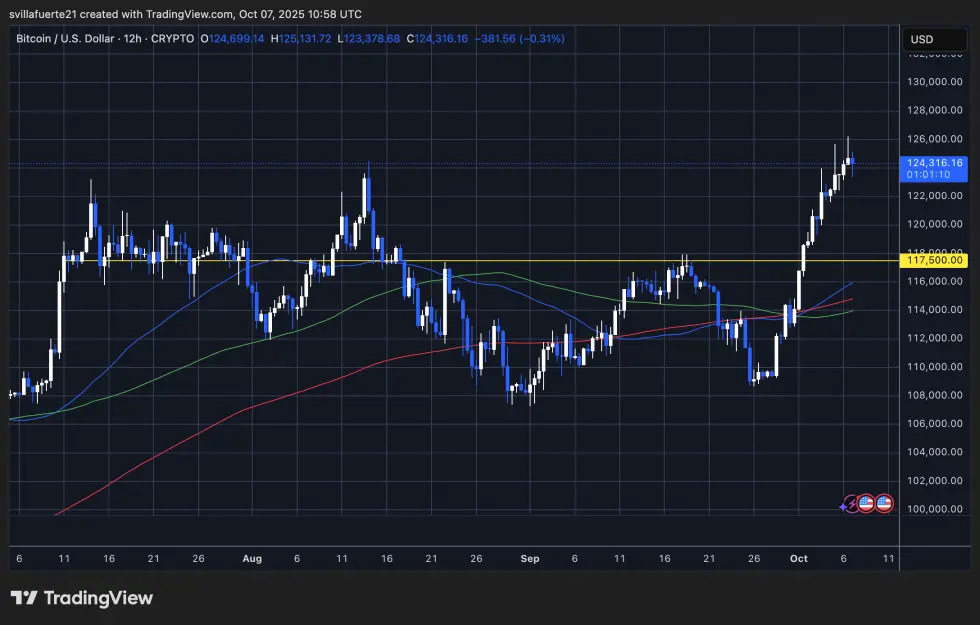 BTC teste un territoire inexploré | Source : graphique BTCUSDT sur TradingView