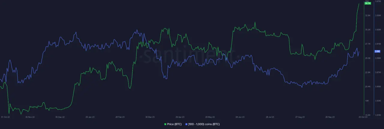 BTC暴涨，仅仅是因为ETF?