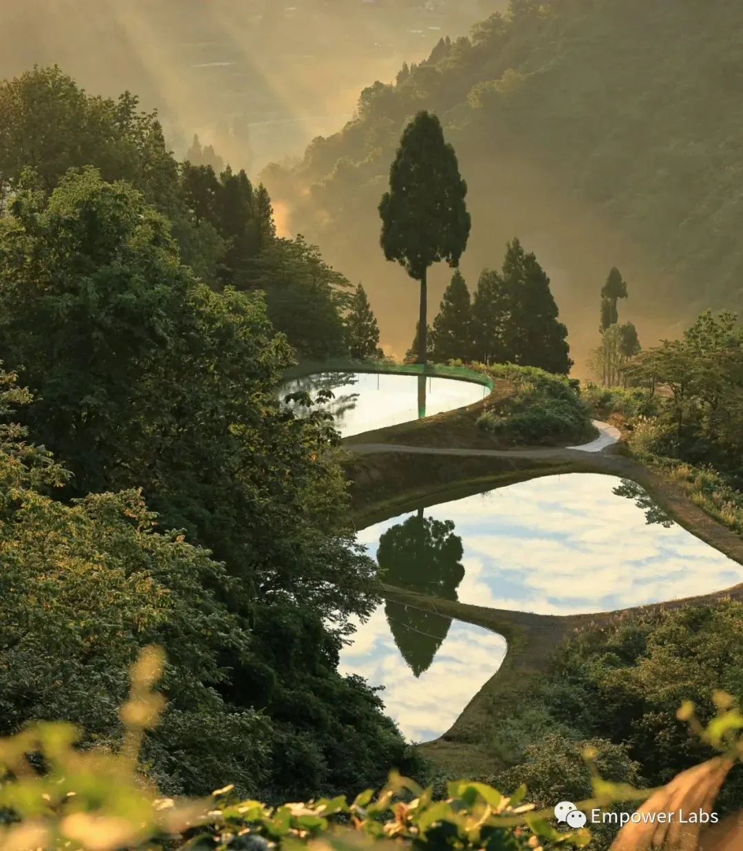Noticias japonesas: preferencia por entidades, gran visión, ecología DAO está aumentando