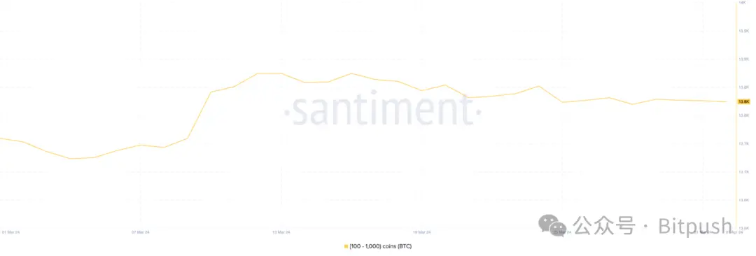 比特币巨鲸增持放缓，我们行至牛市何处？