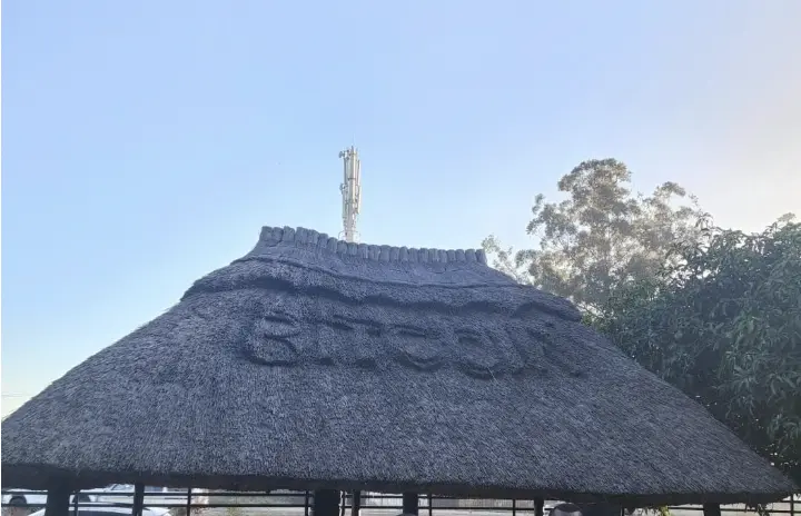 津巴布韦：使用 BTC 购买汽车，寄钱给家人