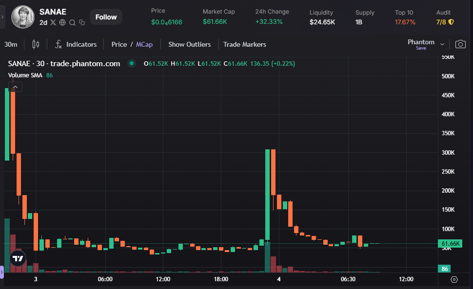 SANAE Meme Coin Crash