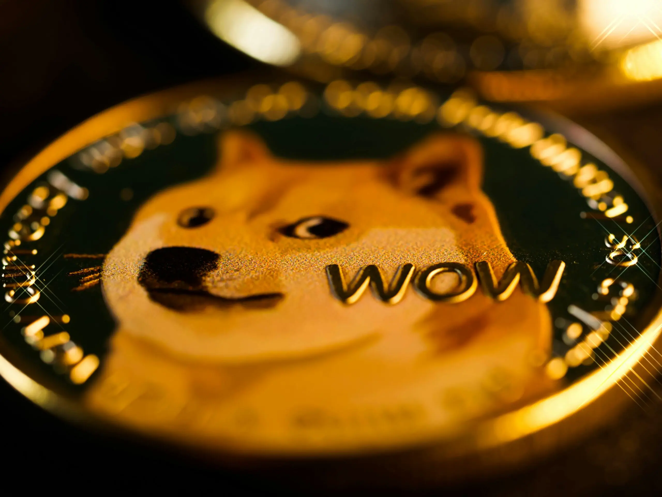 Bir fiziksel dogecoin tokeni.