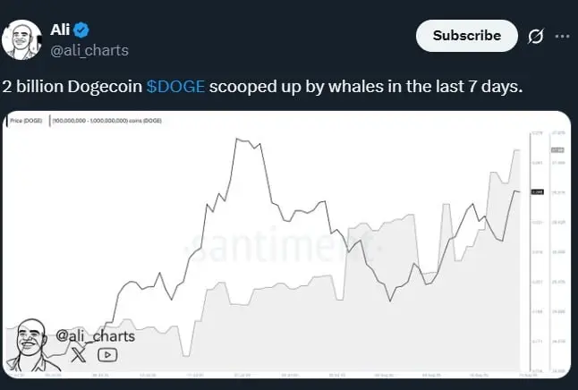 クジラが200億DOGEを購入、価格が0.30ドルに上昇する直前